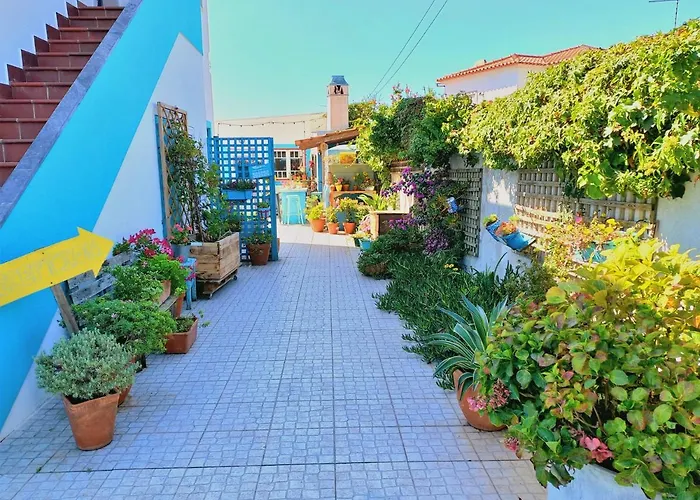 Ethic Surf House ゲストハウス フェレル